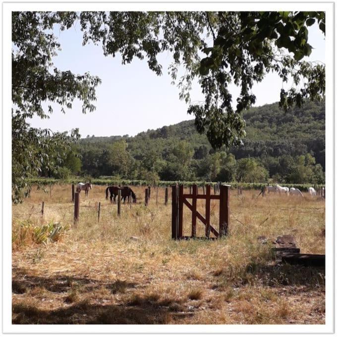 Charming Small House Close To Uzes Foissac  Extérieur photo